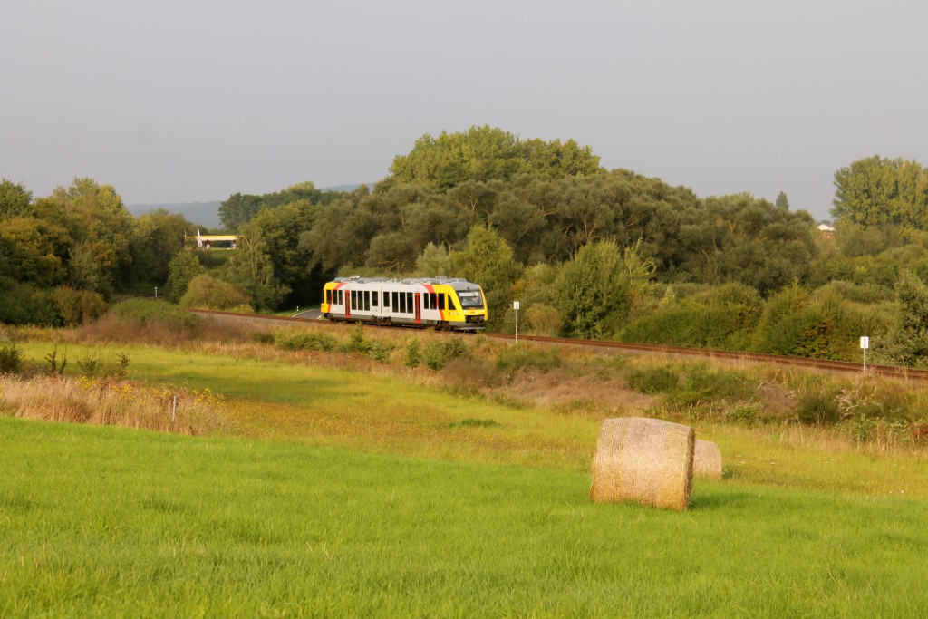 Ein LINT der HLB, als Sonderzug zum Schmaadleckermarkt, zwischen Daubringen und Lollar auf der Lumdatalbahn am 07.09.2014.