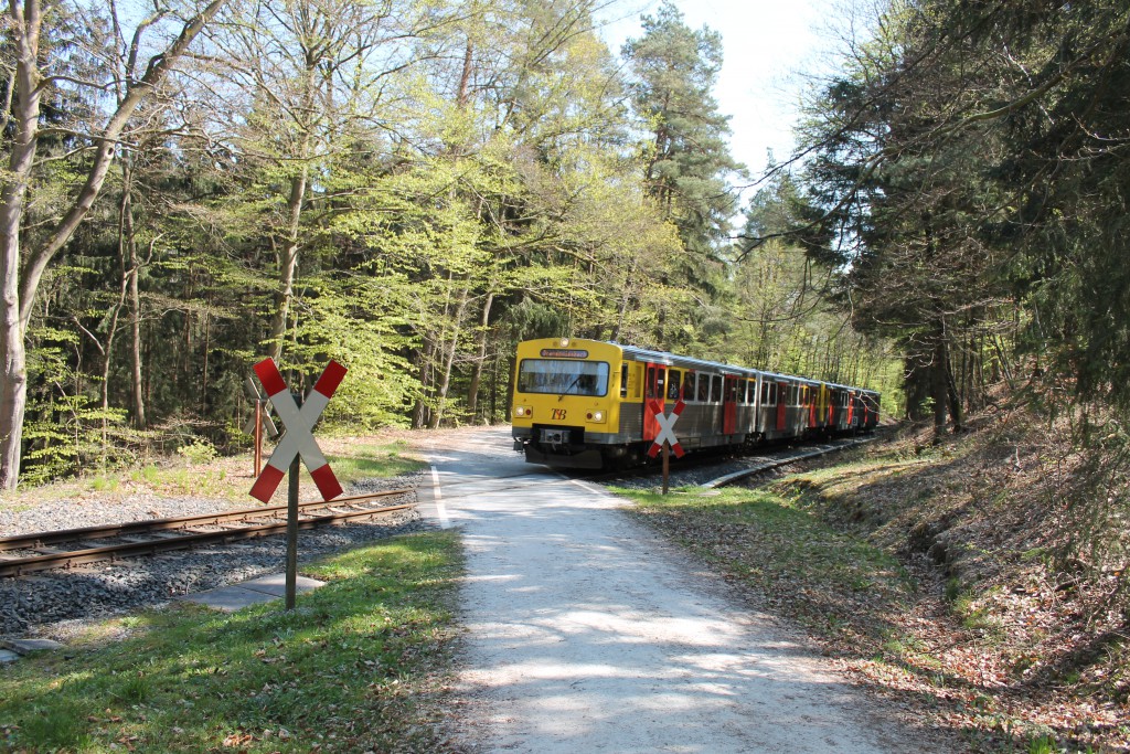 Eine Doppeltraktion VT2E der HLB überquert im Wald einen unbeschrankten Bahnübergang bei Köppern auf der Taunusbahn am 23.04.2015.