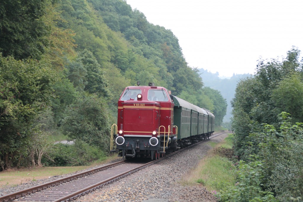 Am Waldrand von Ederbringhausen zieht V65 001 ihren Zug in Richtung Korbach, aufgenommen am 12.09.2015.