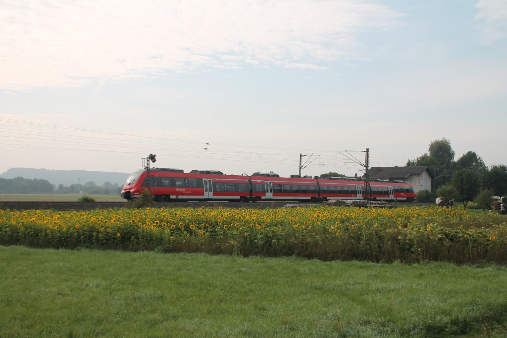 Ein TALENT 2 erreicht gerade den Bahnhof Niederwalgern auf der Main-Weser-Bahn.