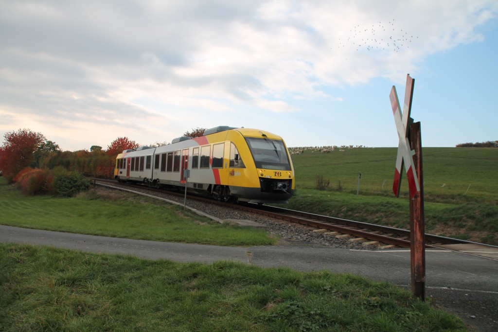 Zwischen bunten Blättern und einer Herde Schafe in Hundstadt kam am 10.10.2015 ein LINT der HLB hervor.