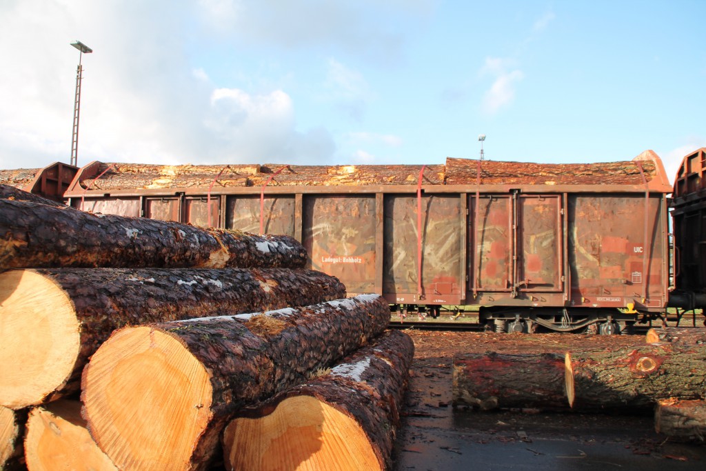 Wochenendliche Ruhe an der Laderampe in Frankenberg, aufgenommen am 28.11.2015.