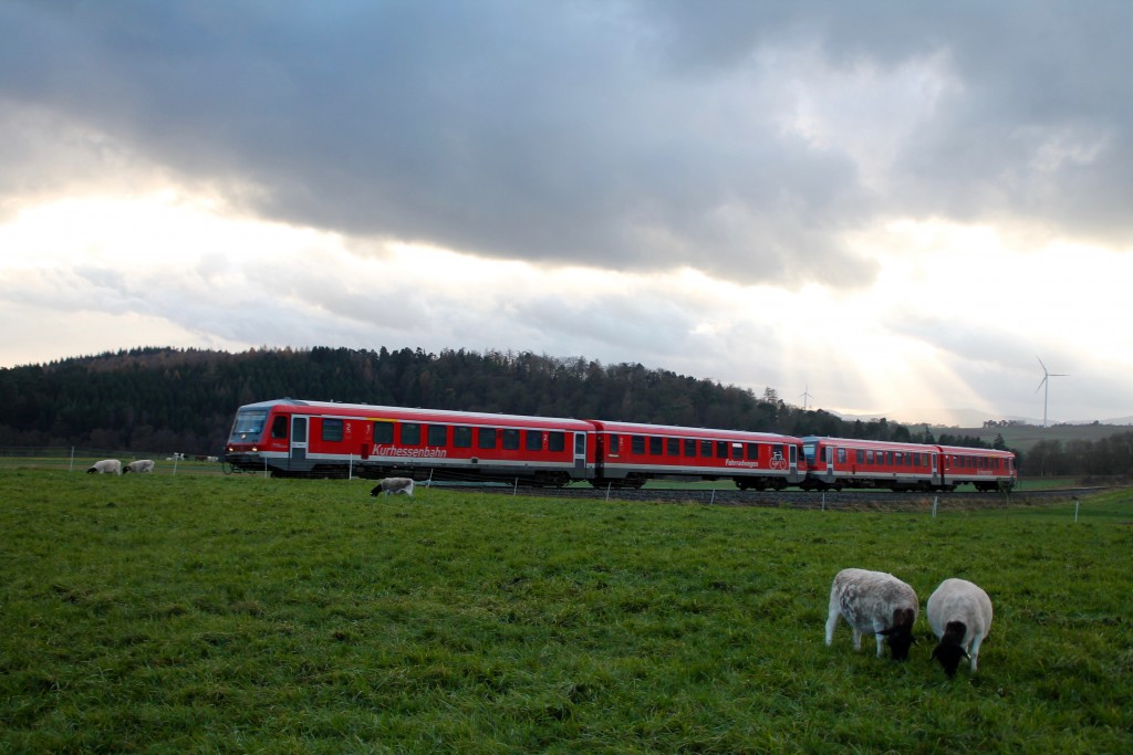 Zwei Triebwagen der Baureihe 628 vor einer Schafweide bei Wiesenfeld auf der Burgwaldbahn, aufgenommen am 28.11.2015.