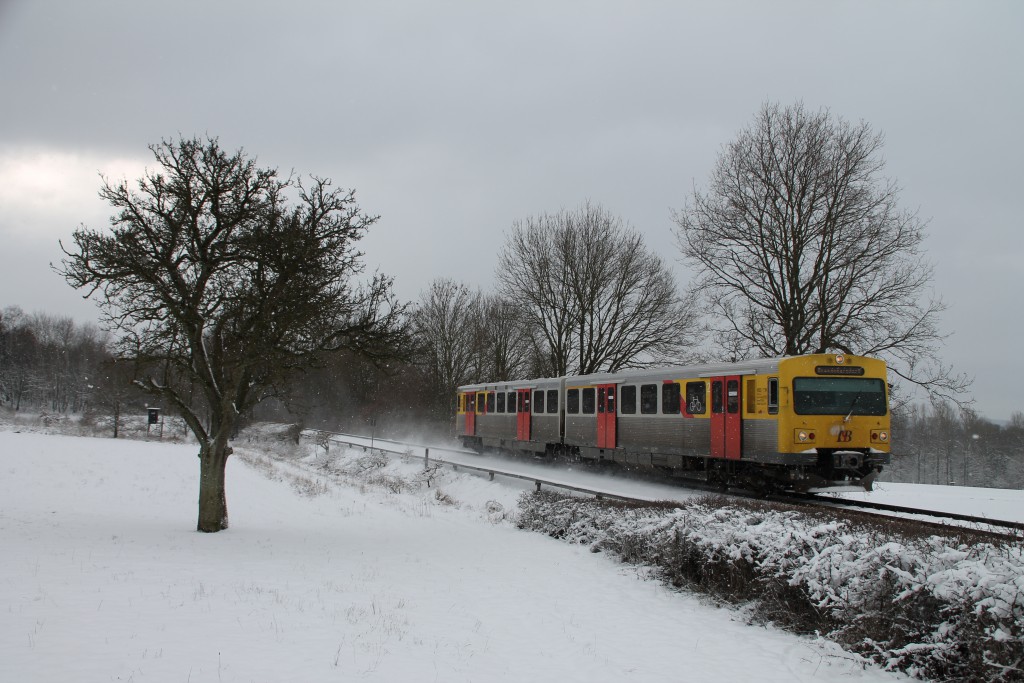 Ein VT2E der HLB zwischen Wilhelmsdorf und Hundstadt, aufgenommen am 17.01.2016.