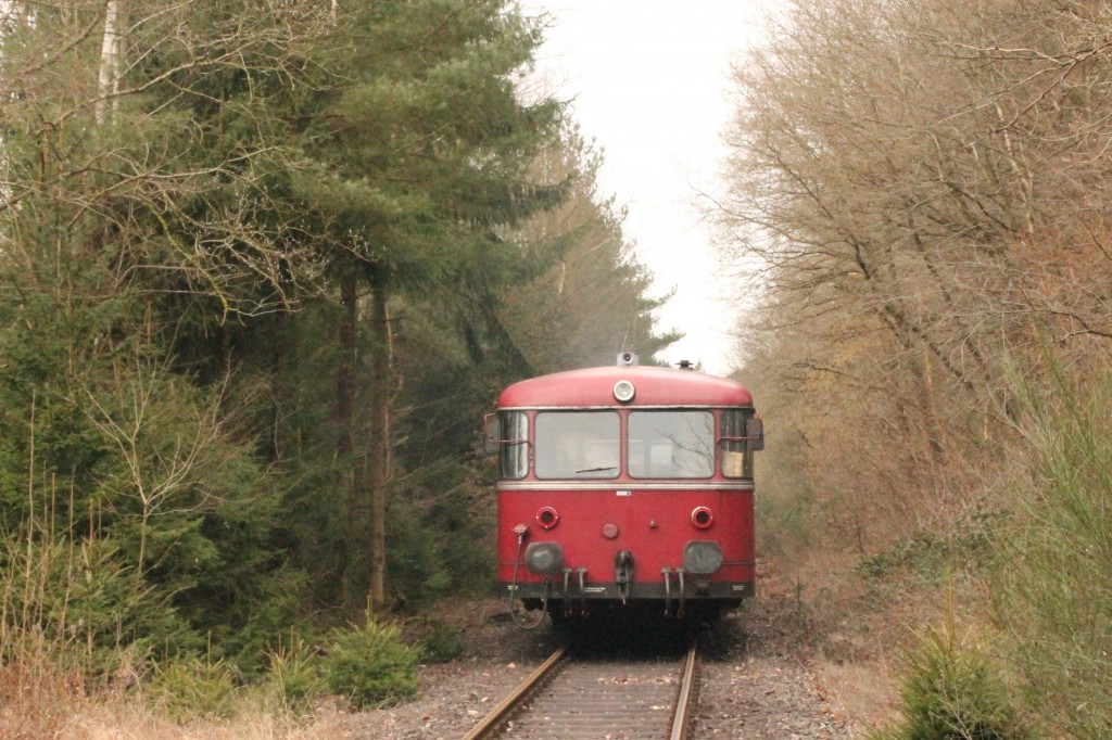 998 880, 998 250, 798 818, 798 622 und 796 724 im Wald bei Seifen auf der Holzbachtalbahn, aufgenommen am 06.03.2016.