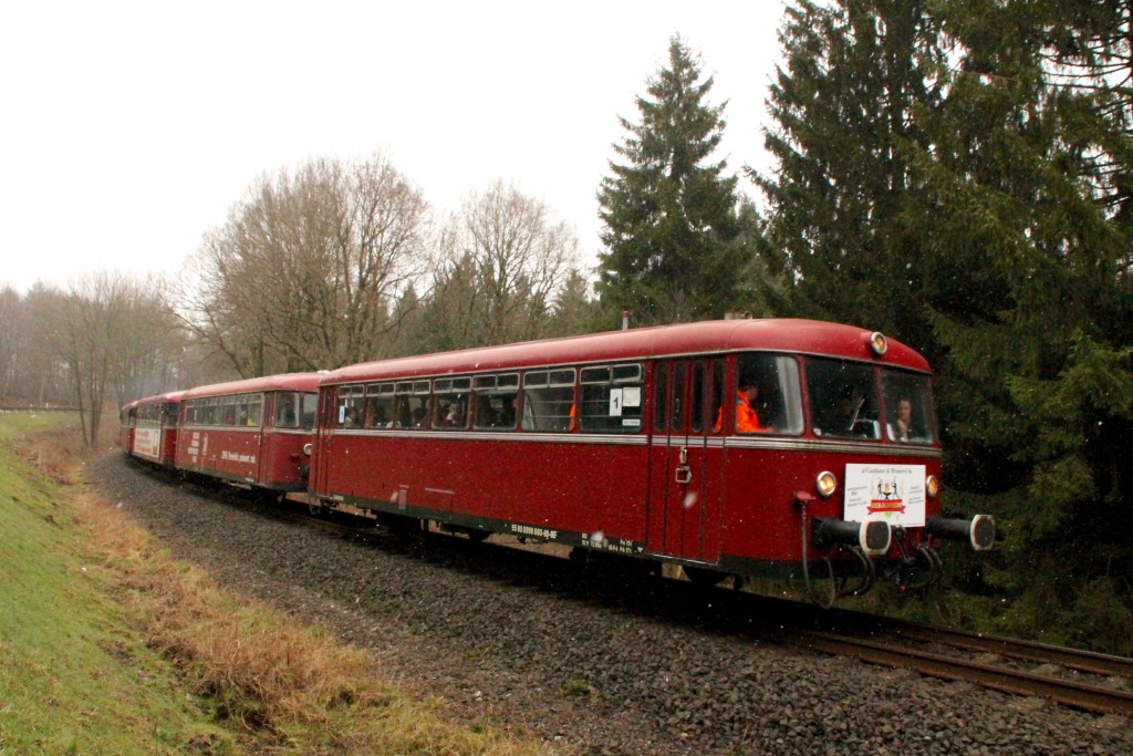 998 880, 998 250, 798 818, 798 622 und 796 724 im Wald bei Ingelbach, aufgenommen am 06.03.2016.