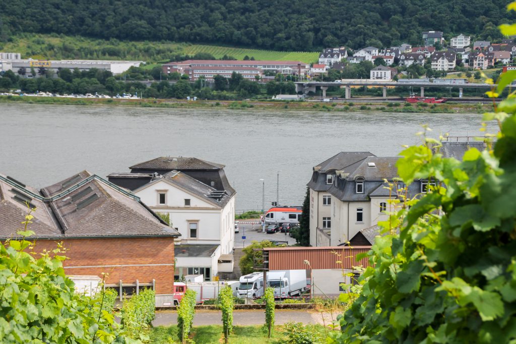 Ein VIAS-Suchbild in Rüdesheim auf der rechten Rheinstrecke, aufgenommen am 17.07.2016.