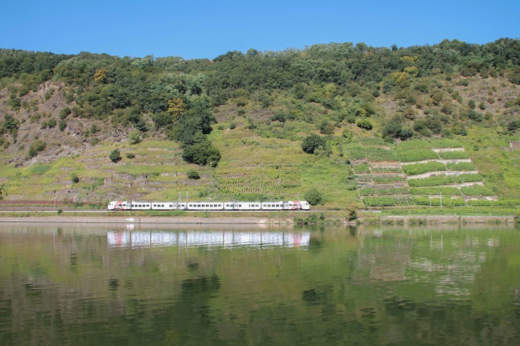 Ein 429 in den Weinbergen bei Kattens auf der Moselstrecke, aufgenommen am 24.08.2016.