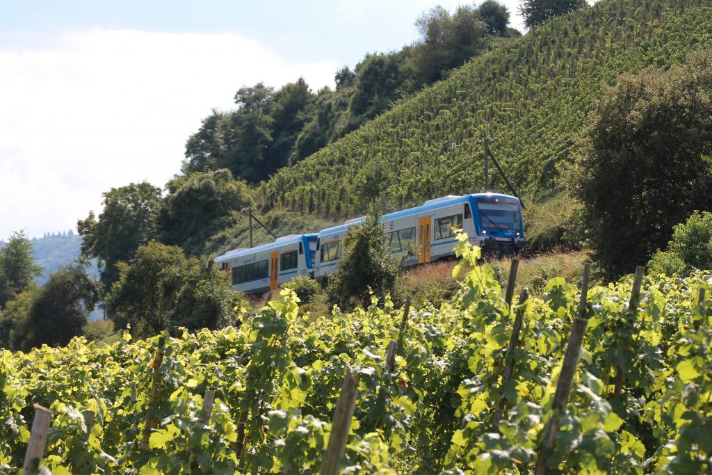 650 131 und 650 132 von Rhenus Veniro in den Weinbergen bei Reil auf der Moselweinbahn, aufgenommen am 27.08.2016.