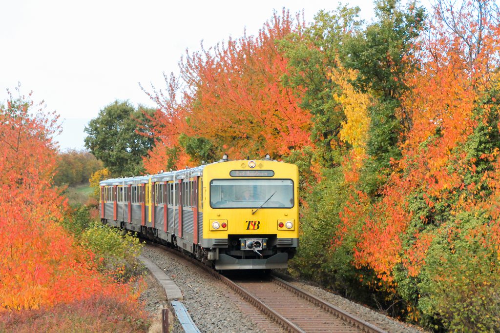 Zwei VT2E der HLB an herbstlich bunten Bäumen in Hundstadt auf der Taunusbahn, aufgenommen am 27.10.2016.