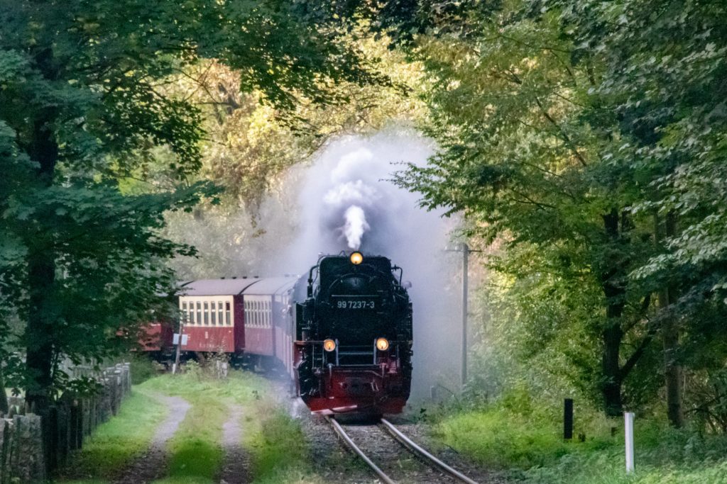 99 7235 vor Netzkater auf der Harzquerbahn, aufgenommen am 02.10.2023.