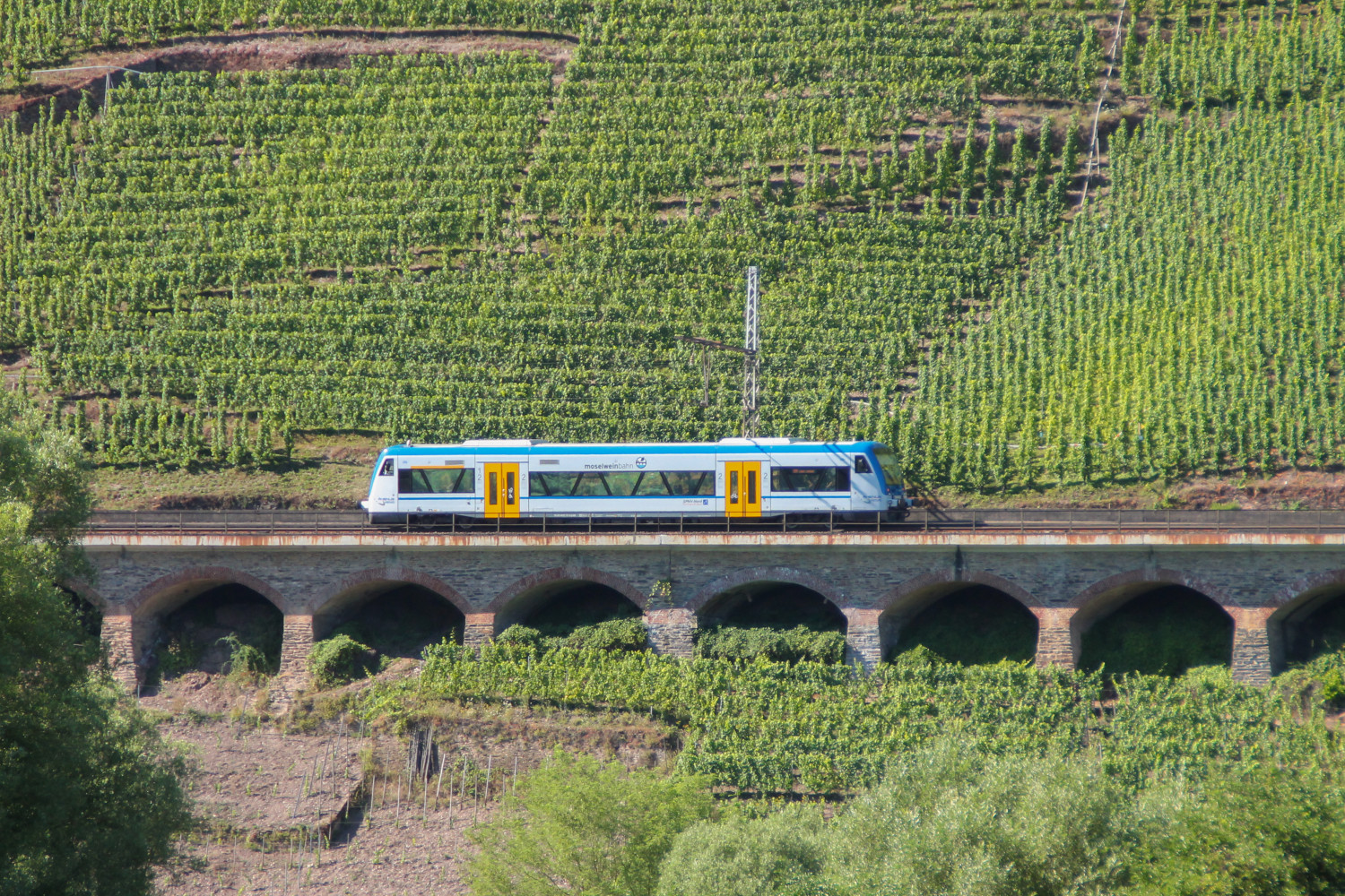 Ein 650 von Rhenus Veniro überquert das Pündericher Hangviadukt auf der Moselstrecke, aufgenommen am 24.08.2016.