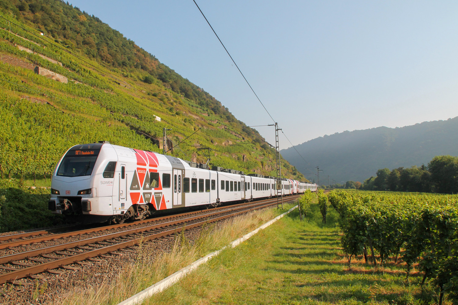 Zwei 429 der DB bei Lehmen auf der Moselstrecke, aufgenommen am 27.08.2016.