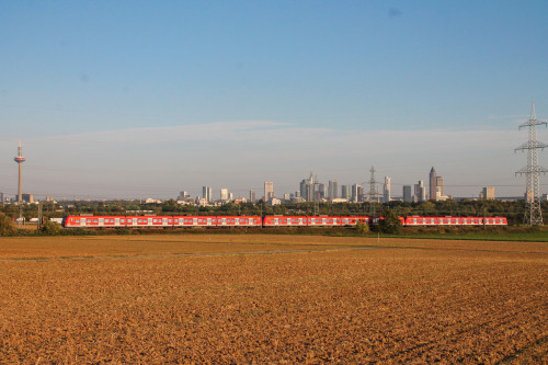 Zwei 423 zieren die Frankfurter Skyline im Feld bei Weißkirchen auf der Homburger Bahn, aufgenommen am 29.09.2016.