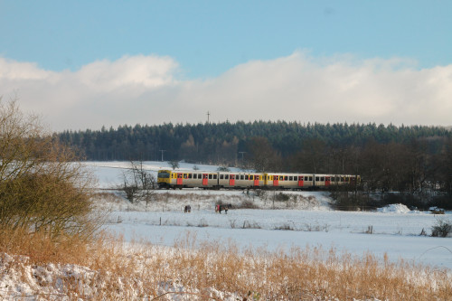 Zwei VT2E der HLB an einer Pferdeweide bei Hundstadt auf der Taunusbahn, aufgenommen am 16.01.2017.
