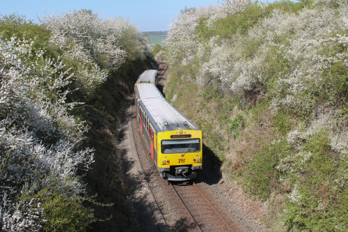 Zwei VT2E der HLB in einem Einschnitt bei Hundstadt auf der Taunusbahn, aufgenommen am 23.04.2015.