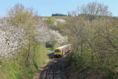 Zwei VT2E der HLB kurz vor Brandoberndorf auf der Taunusbahn, aufgenommen am 23.04.2015.