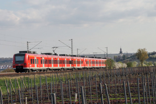 425 252 und ein weiterer 425 kurz vor Nierstein auf der linken Rheinstrecke, aufgenommen am 30.03.2017.