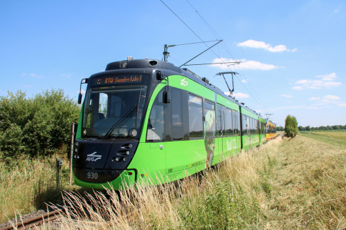 450 930 und 450 929 im Feld bei Sulzbach auf der Sodener Bahn, aufgenommen am 24.06.2017.