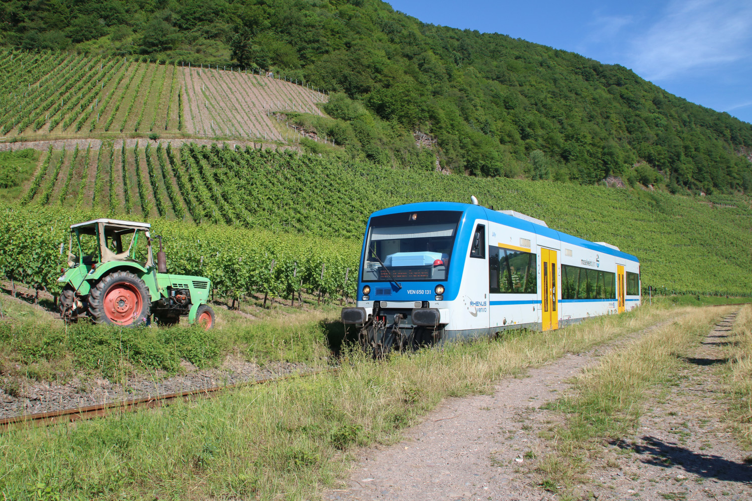 650 131 begegnet in den Weinbergen bei Reil auf der Moselweinbahn einem Traktor, aufgenommen am 05.07.2017.