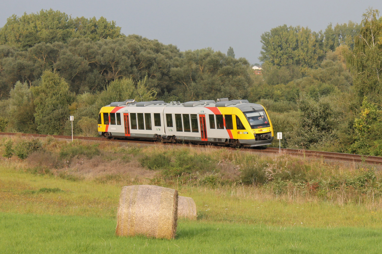 648 023 im Feld bei Daubringen auf der Lumdatalbahn, aufgenommen am 07.09.2014.