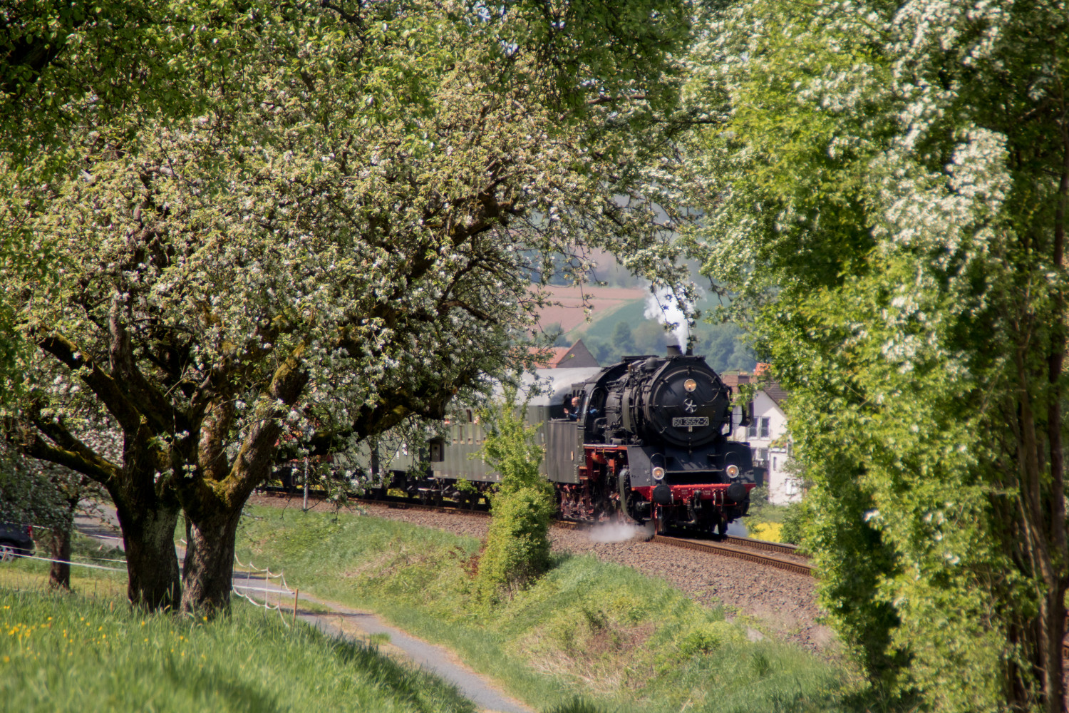 50 3552 schaut aus den Bäumen bei Glauburg-Stockheim auf der Lahn-Kinzig-Bahn, aufgenommen am 29.04.2018.