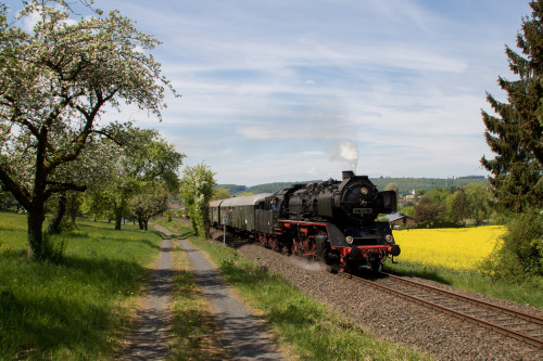 50 3552 an einem Rapsfeld bei Glauburg-Stockheim auf der Lahn-Kinzig-Bahn, aufgenommen am 29.04.2018.