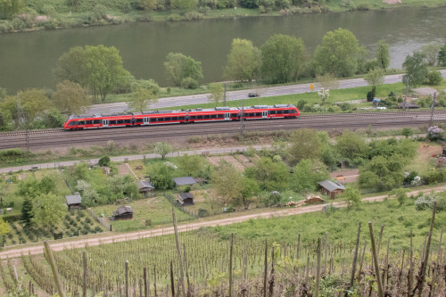 442 208 an den Kleingärten bei Moselkern auf der Moselstrecke, aufgenommen am 01.05.2018.