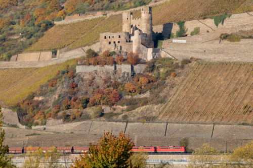 Zwei Loks der Baureihe 151 ziehen einen schweren Güterzug unterhalb der Burgruine Ehrenfels über die rechte Rheinstrecke bei Rüdesheim, aufgenommen am 03.11.2018.