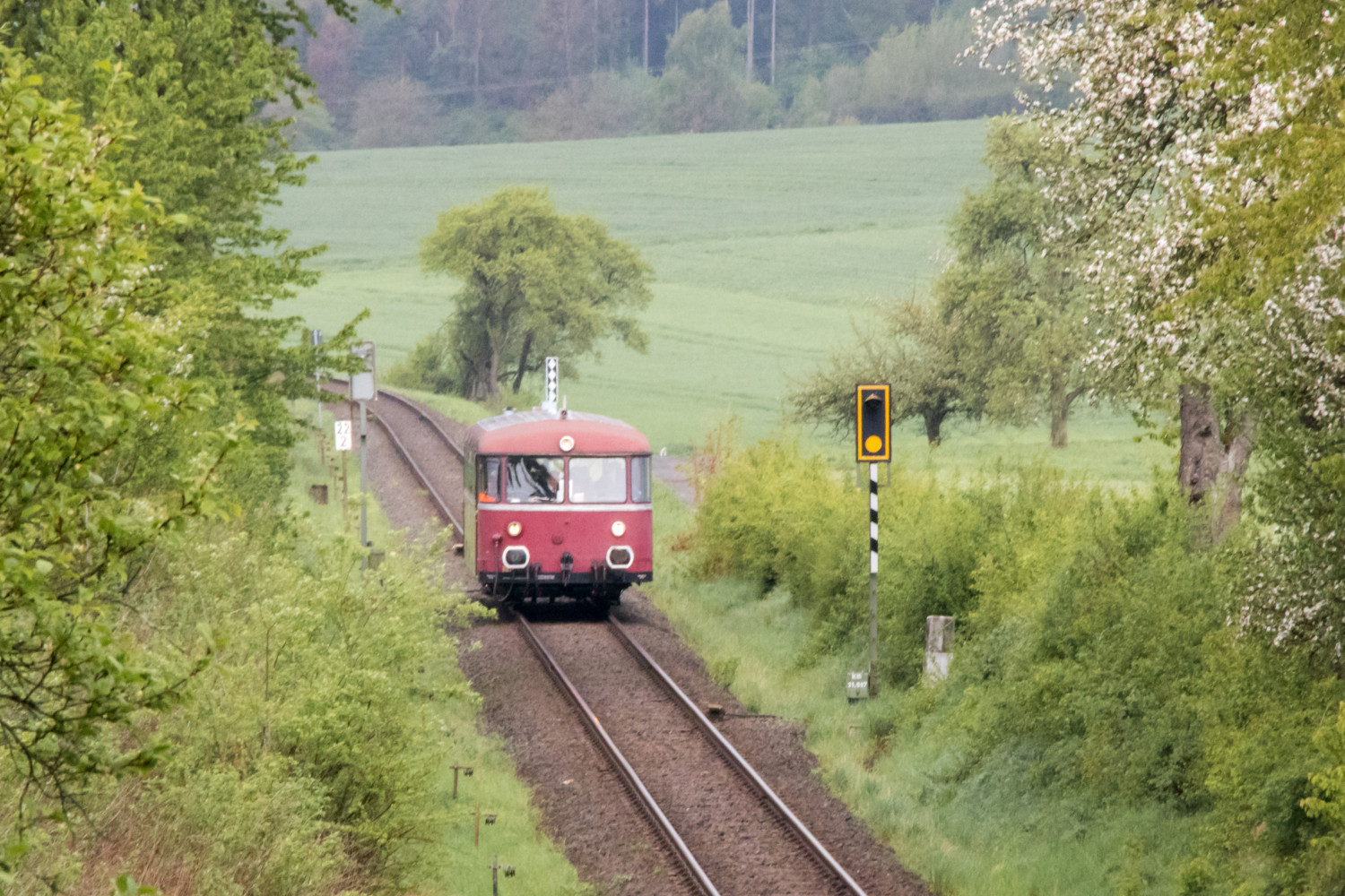 798 829 passiert die blühende Landschaft bei Grünberg auf der Vogelsbergbahn, aufgenommen am 28.04.2019.