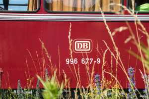 996 677, aufgenommen am 21.06.2019.