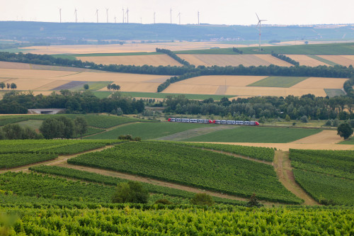 Zwei LINT der Baureihe 622 in der Nähe von Gau-Bickelheim auf der Rheinhessenbahn, aufgenommen am 17.07.2020.