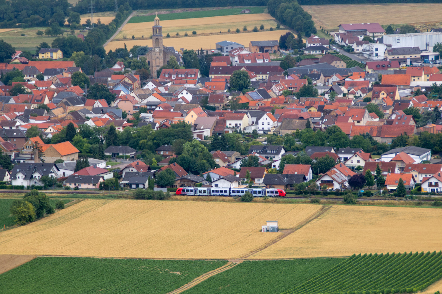 Ein 623 bei Gau-Bickelheim auf der Rheinhessenbahn, aufgenommen am 17.07.2020.