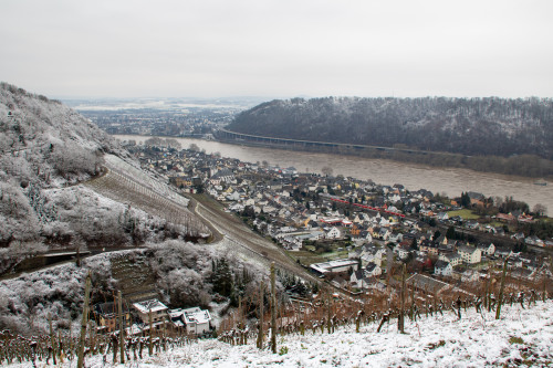 Zwei 425 durcheilen Leutesdorf auf der rechten Rheinstrecke, aufgenommen am 31.01.2021.