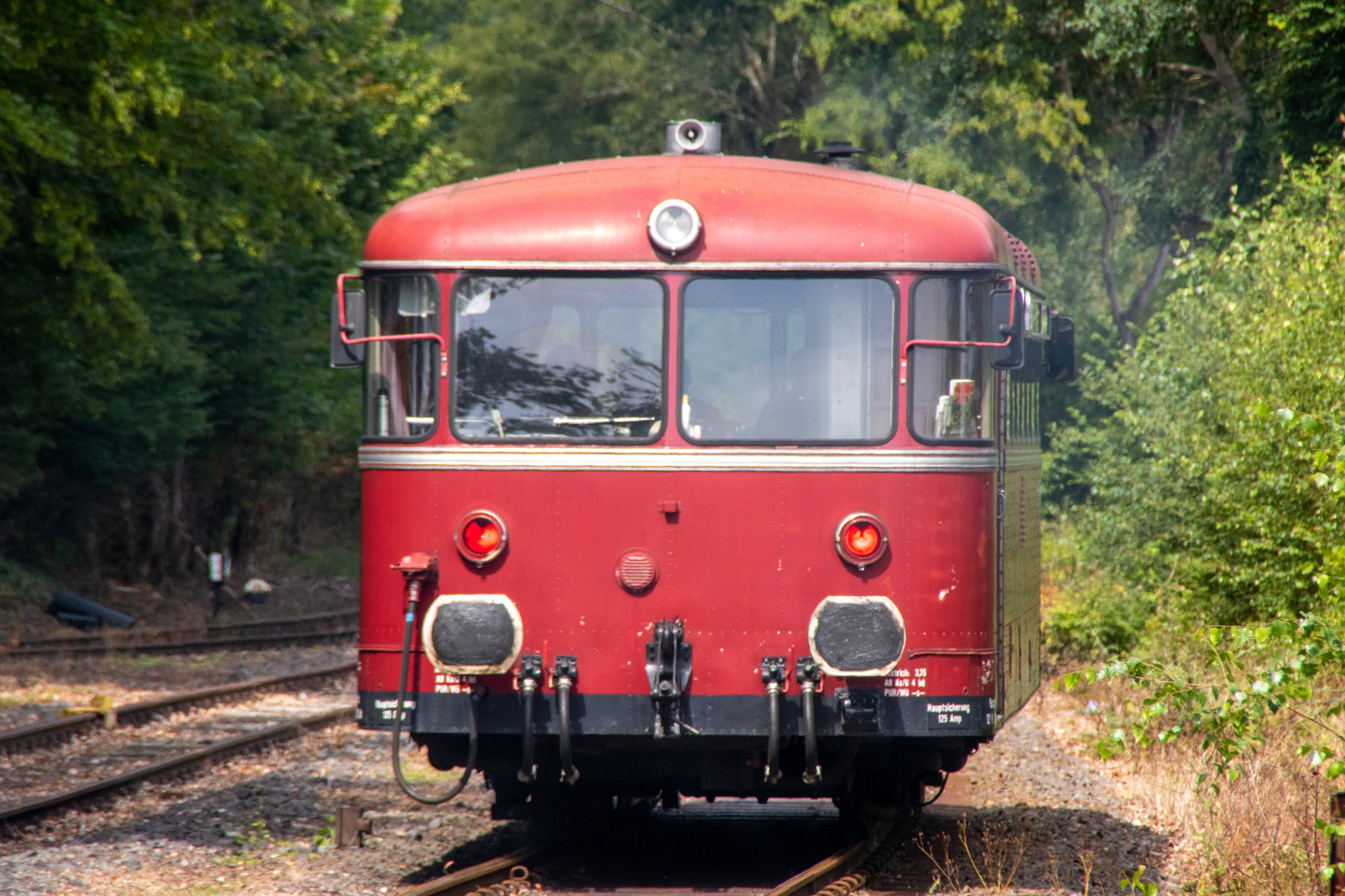 798 729 verschwindet im Wald bei Kalenborn auf der Kasbachtalbahn, aufgenommen am 11.08.2021.