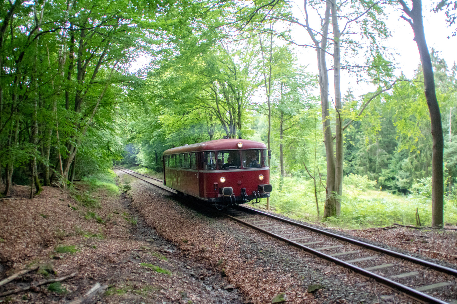 798 729 an einer Waldlichtung auf der Kasbachtalbahn, aufgenommen am 11.08.2021.