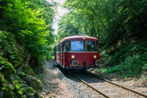 798 729 an einem Einschnitt auf der Kasbachtalbahn, aufgenommen am 11.08.2021.