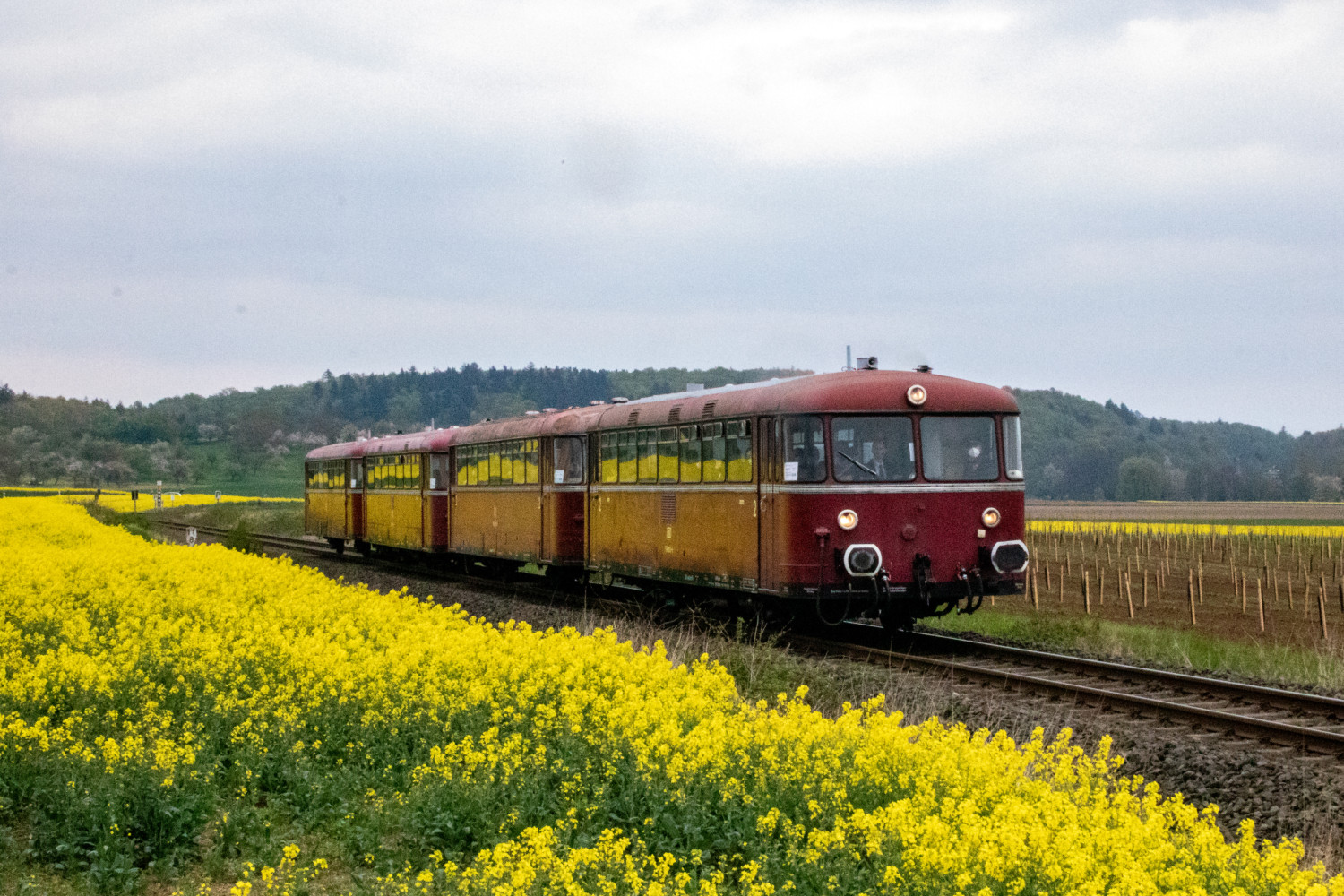 798 829, 996 310, 798 589 und 996 677 bei einem Rapsfeld bei Echzell auf der Horlofftalbahn, aufgenommen am 24.04.2022.