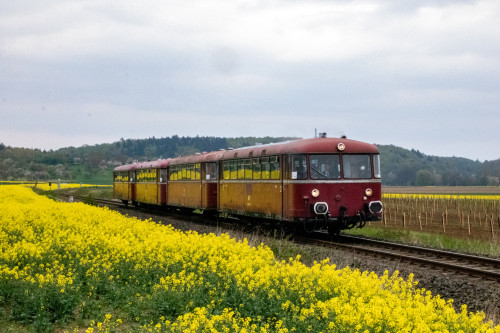 798 829, 996 310, 798 589 und 996 677 bei einem Rapsfeld bei Echzell auf der Horlofftalbahn, aufgenommen am 24.04.2022.
