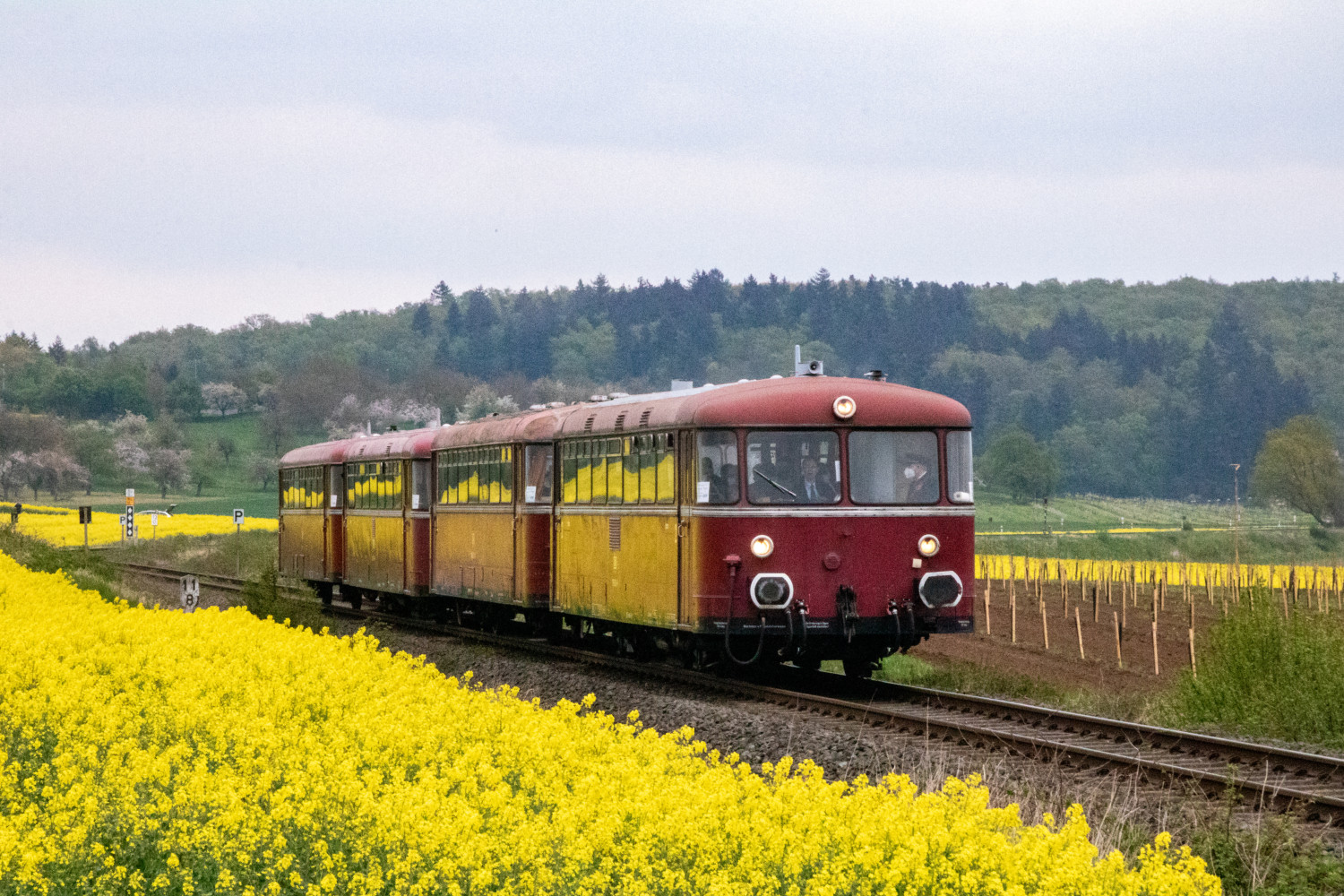 798 829, 996 310, 798 589 und 996 677 sind an einem Rapsfeld bei Echzell auf der Horlofftalbahn, aufgenommen am 24.04.2022.