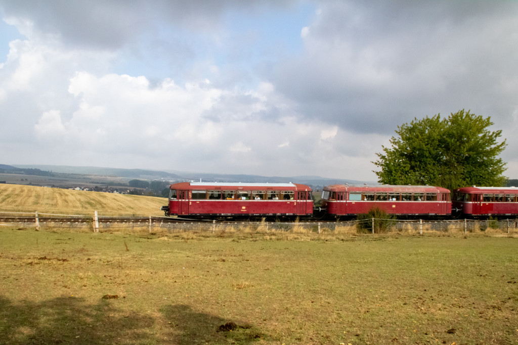 798 829, 996 310, 798 589 und 996 677 an einer Pferdekoppel bei Neu Anspach, aufgenommen am 11.09.2022.