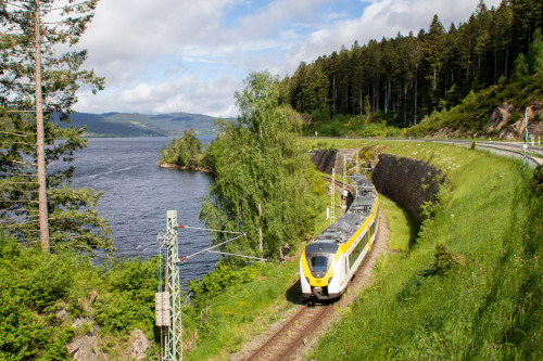 1440 177 bei Seebrugg auf der Dreiseenbahn, aufgenommen am 24.05.2022.