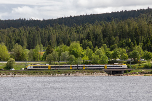 1440 180 am Waldrand bei Schluchsee auf der Dreiseenbahn, aufgenommen am 24.05.2022.