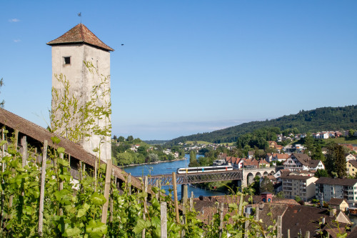 Ein GTW von Thurbo überquert die Rheinbrücke zwischen Schaffhausen und Feuerthalen, aufgenommen am 26.05.2022.