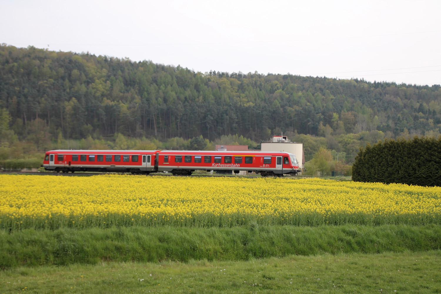628 419 an einem Rapsfeld bei Sarnau auf der oberen Lahntalbahn, aufgenommen am 30.04.2016.