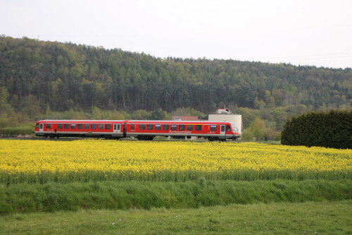 628 419 an einem Rapsfeld bei Sarnau auf der oberen Lahntalbahn, aufgenommen am 30.04.2016.