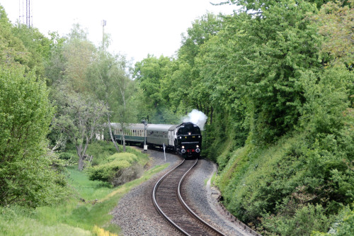 CFL 5519 bei Hornau auf der Frankfurt-Königsteiner-Eisenbahn, aufgenommen am 15.05.2016.